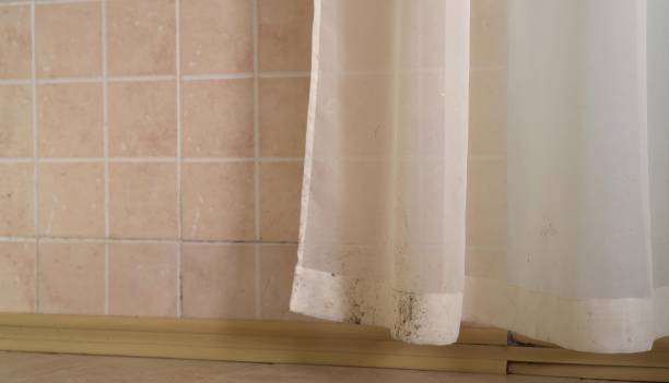 Mold Odor Removal Services in Spout Springs, NC