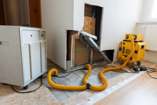 Best Dehumidification Services  in Spout Springs, NC