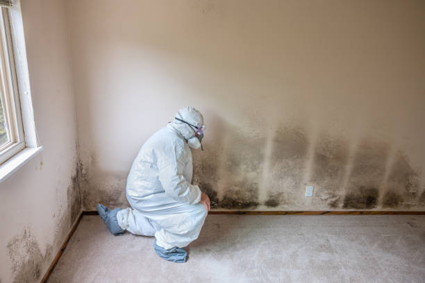 Best Forensic Mold Investigation  in Spout Springs, NC